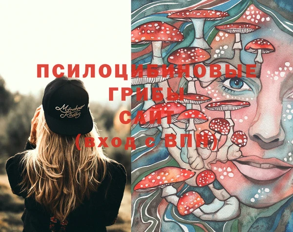 кокаин Новозыбков