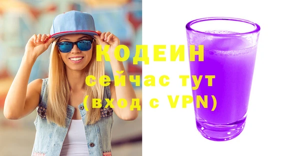 дурь Няндома