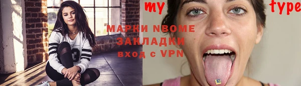 дурь Няндома