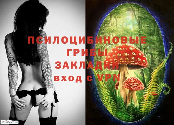дурь Няндома