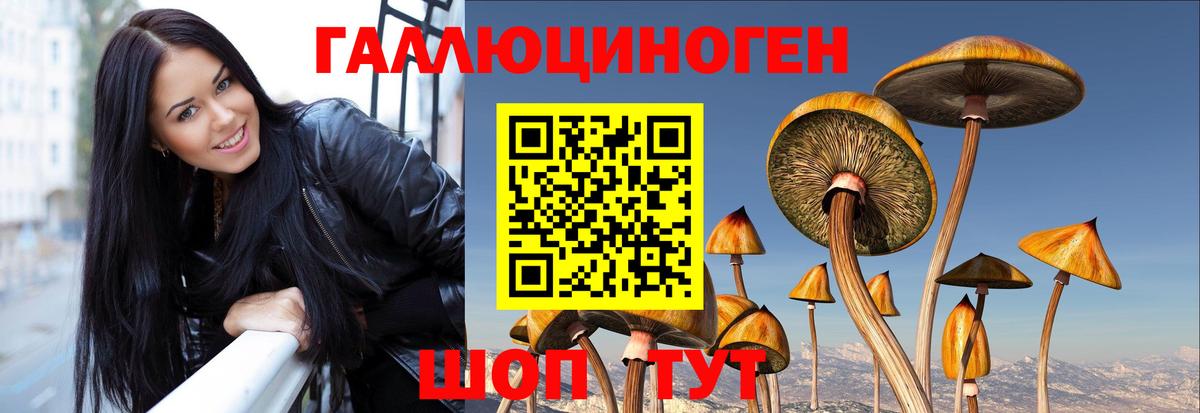 Галлюциногенные грибы Psilocybine cubensis  Вход с VPN  Псилоцибиновые грибы MAGIC MUSHROOMS  Родники 